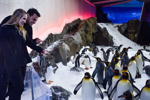 Penguin Passport At SEA LIFE Melbourne Aquarium - C Tourism 0
