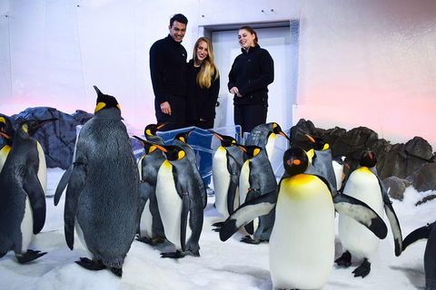 Penguin Passport At SEA LIFE Melbourne Aquarium - C Tourism 4