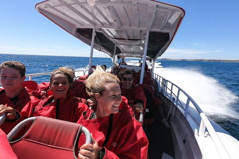 Adventure Rottnest Tour With Ferry & Adventure Cruise From Perth Or Fremantle - C Tourism 0