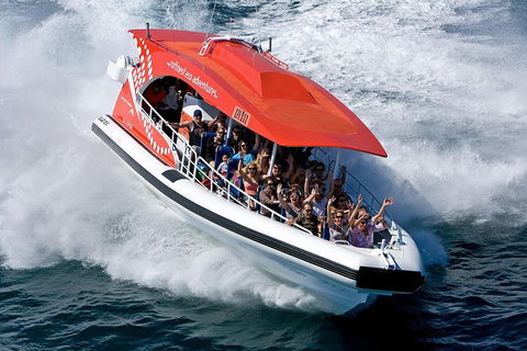Adventure Rottnest Tour With Ferry & Adventure Cruise From Perth Or Fremantle - C Tourism 2