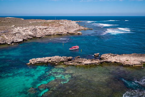 Adventure Rottnest Tour With Ferry & Adventure Cruise From Perth Or Fremantle - C Tourism 3