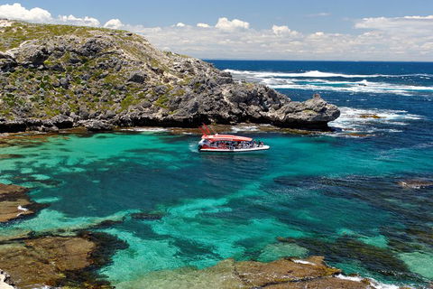 Adventure Rottnest Tour With Ferry & Adventure Cruise From Perth Or Fremantle - C Tourism 5