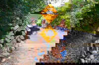 Cape Tribulation Daintree Rainforest and Wildlife Tour