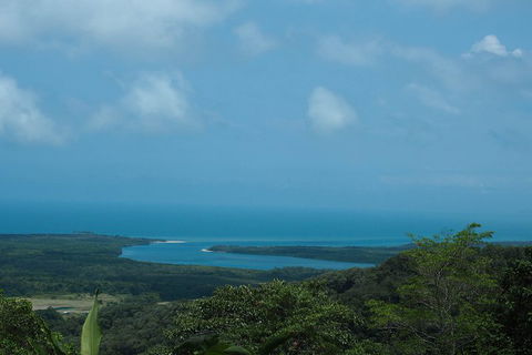Cape Tribulation, Daintree Rainforest And Wildlife Tour - C Tourism 1