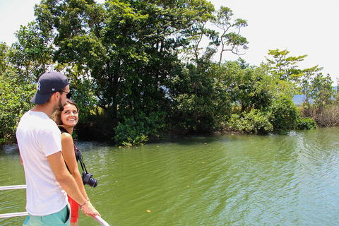 Cape Tribulation, Daintree Rainforest And Wildlife Tour - C Tourism 2