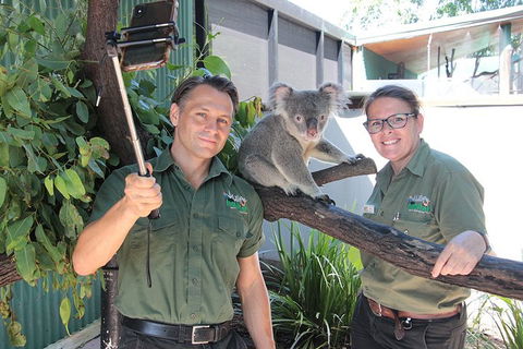 Virtual Interactive Australian Wildlife Tour With Private Guide-Wildlife Habitat - C Tourism 0
