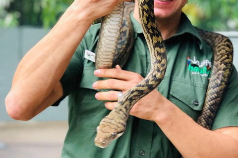 Virtual Interactive Australian Wildlife Tour With Private Guide-Wildlife Habitat - C Tourism 1