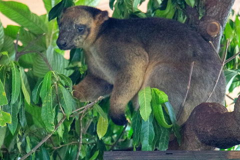 Virtual Interactive Australian Wildlife Tour With Private Guide-Wildlife Habitat - C Tourism 4