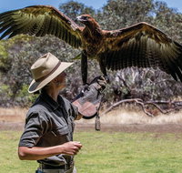 One Day Kangaroo Island Sip  See tour with return ferry transfers from Adelaide - C Tourism