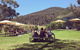 Yarra Valley Wine And Cider Tours By Classic Convertibles From Melbourne - thumb 0