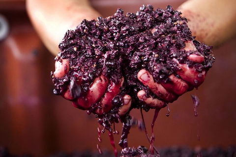 Yarra Valley Wine And Cider Tours By Classic Convertibles From Melbourne - C Tourism 2