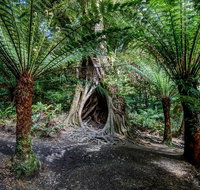 Adelaide to Melbourne 3-Day Trip through Grampians and Great Ocean Road - C Tourism