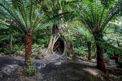 Adelaide To Melbourne 3-Day Trip Through Grampians And Great Ocean Road - C Tourism 0
