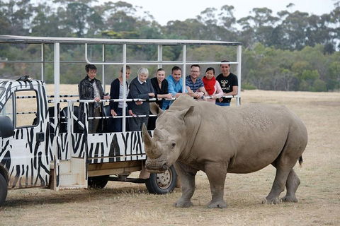 Off-Road Safari At Werribee Open Range Zoo - C Tourism 0
