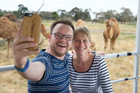 Off-Road Safari At Werribee Open Range Zoo - C Tourism 1