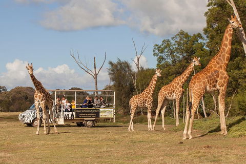 Off-Road Safari At Werribee Open Range Zoo - C Tourism 3