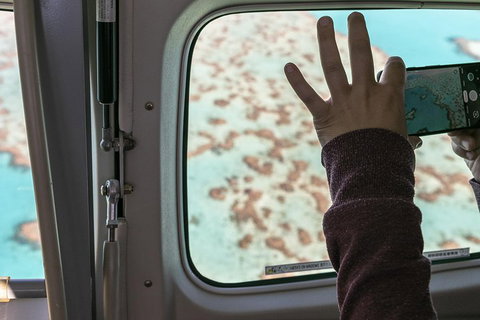 Scenic Flight - Great Barrier Reef, Heart Reef, Whitehaven Beach & Hill Inlet! - C Tourism 2