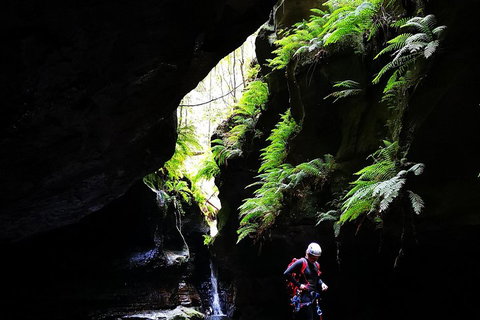 Full-Day Canyoning Experience At Stunning Empress Canyon - C Tourism 2