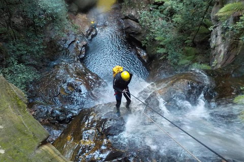 Full-Day Canyoning Experience At Stunning Empress Canyon - C Tourism 4