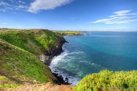 Phillip Island Penguin And Koala Highlights Day-Trip From Melbourne - C Tourism 5