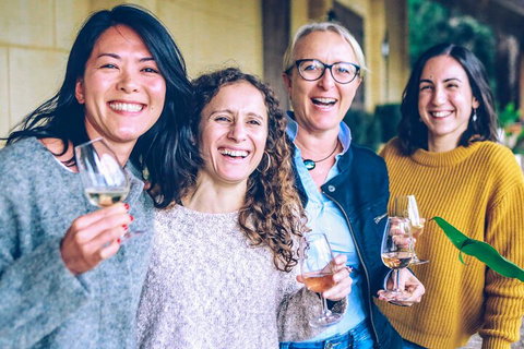 Sip N Savour: Southern Highlands Premium Wine Tour From Sydney - C Tourism 1