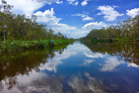 Noosa Everglades Serenity Cruise & Highlights Tour Inc. Lunch & Cruise - C Tourism 0