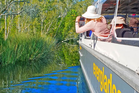 Noosa Everglades Serenity Cruise & Highlights Tour Inc. Lunch & Cruise - C Tourism 2