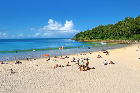 Noosa Everglades Serenity Cruise & Highlights Tour Inc. Lunch & Cruise - C Tourism 4