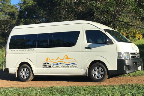 Noosa Everglades Serenity Cruise & Highlights Tour Inc. Lunch & Cruise - C Tourism 5