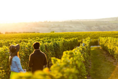 Margaret River Private Tour - C Tourism 2