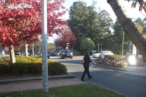 PRIVATE All-Day Blue Mountains Tour With Professional Guide For Up To 4 People - C Tourism 1