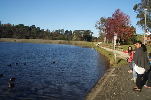 PRIVATE All-Day Blue Mountains Tour With Professional Guide For Up To 4 People - C Tourism 2