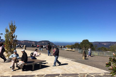PRIVATE All-Day Blue Mountains Tour With Professional Guide For Up To 4 People - C Tourism 5