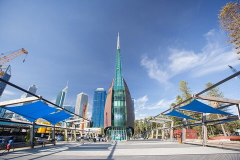 Perth Scavenger Hunt: Perched On A Swan - C Tourism 3