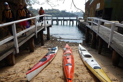 Kayak To Goat Island In Sydney Harbour With Local - C Tourism 3