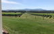Yarra Valley, Dandenong Ranges Inc. Lunch With Wine,plus Morning Tea,chocolate - thumb 3
