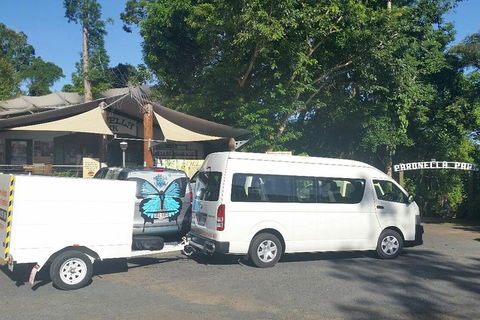 Airport Transfer To Or From Cairns Hotels For Up To 13 People - C Tourism 4