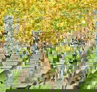 Margaret River Indulge and Discover Day Tour - C Tourism