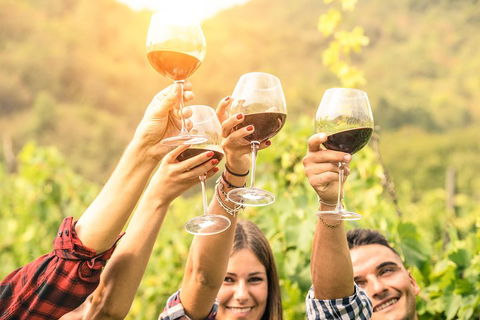 Adelaide Hills Day Tour. Winery Cellar Doors - C Tourism 0