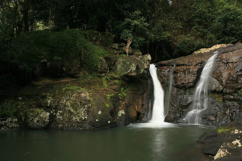 Hinterland Magic & Glow-worm Experience - C Tourism 2