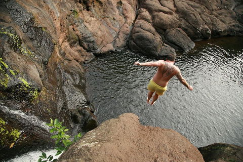 Hinterland Magic & Glow-worm Experience - C Tourism 3