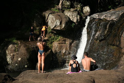 Hinterland Magic & Glow-worm Experience - C Tourism 5