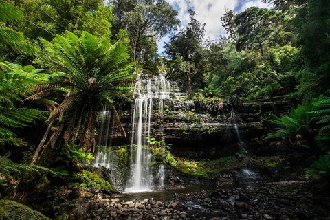 3-Day Tour To The Falls, Mountains, Lake & More Of West Coast Tasmania - C Tourism 4