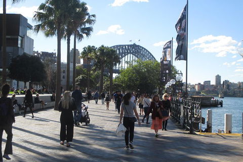 Private City Walking Tour From Your Hotel - C Tourism 0