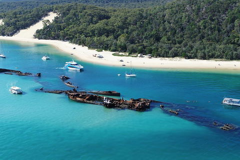 All Inclusive Dolphin And Tangalooma Wrecks Cruise - C Tourism 4