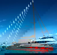 Passions of Paradise Great Barrier Reef Snorkel and Dive Cruise from Cairns by Luxury Catamaran - C Tourism