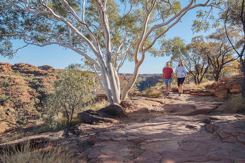 3-Day Tour From Uluru (Ayers Rock) To Alice Springs Via Kings Canyon - C Tourism 1