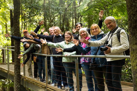 All Inclusive Blue Mountains Small-Group Day Trip From Sydney - C Tourism 5