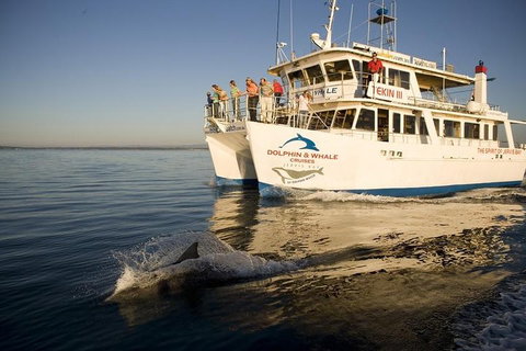 Jervis Bay Dolphin Watch Cruise - C Tourism 3