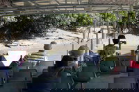 Whitsunday Crocodile Safari including Lunch, Airlie Beach